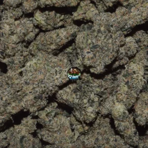 WONKA
