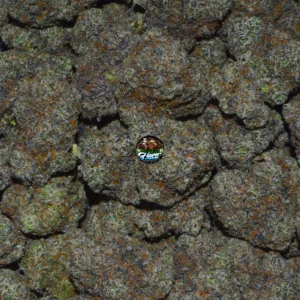 Pink Sherbert Cannabis