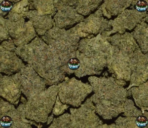 Super Diesel Cannabis