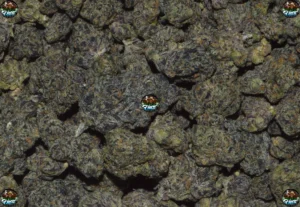 Firewalker OG Cannabis