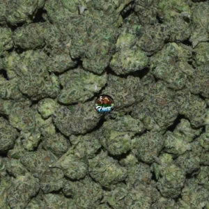 TK41 Cannabis in DC