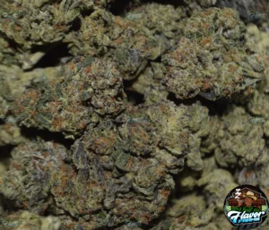 Girl Scout Cookies (GSC) Cannabis