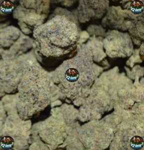 Platinum Lemon Cherry Cannabis in DC