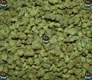 Blue Viper Cannabis Strain