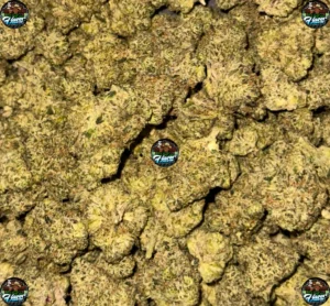 BLUEBERRY COFFIN CANNABIS