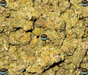 LEMON BERRIES CANNABIS