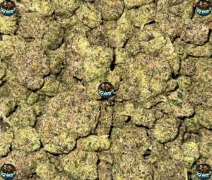 PURPLE SLUSHIE CANNABIS