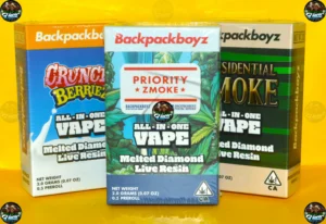 BACKPACKBOYZ ALL IN ONE VAPES 2G