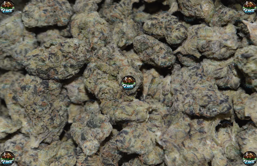 Gelato Runtz Cannabis in DC