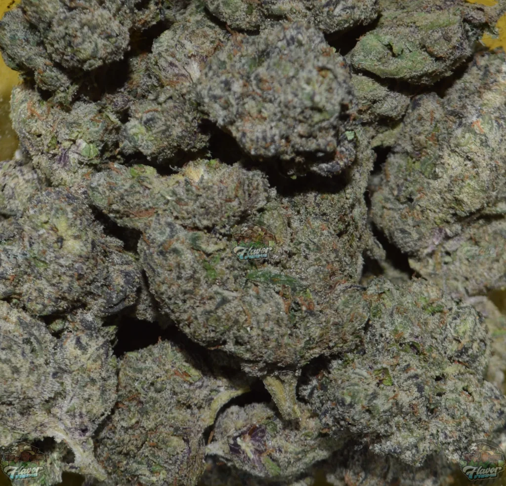 Candy Runtz Cannabis