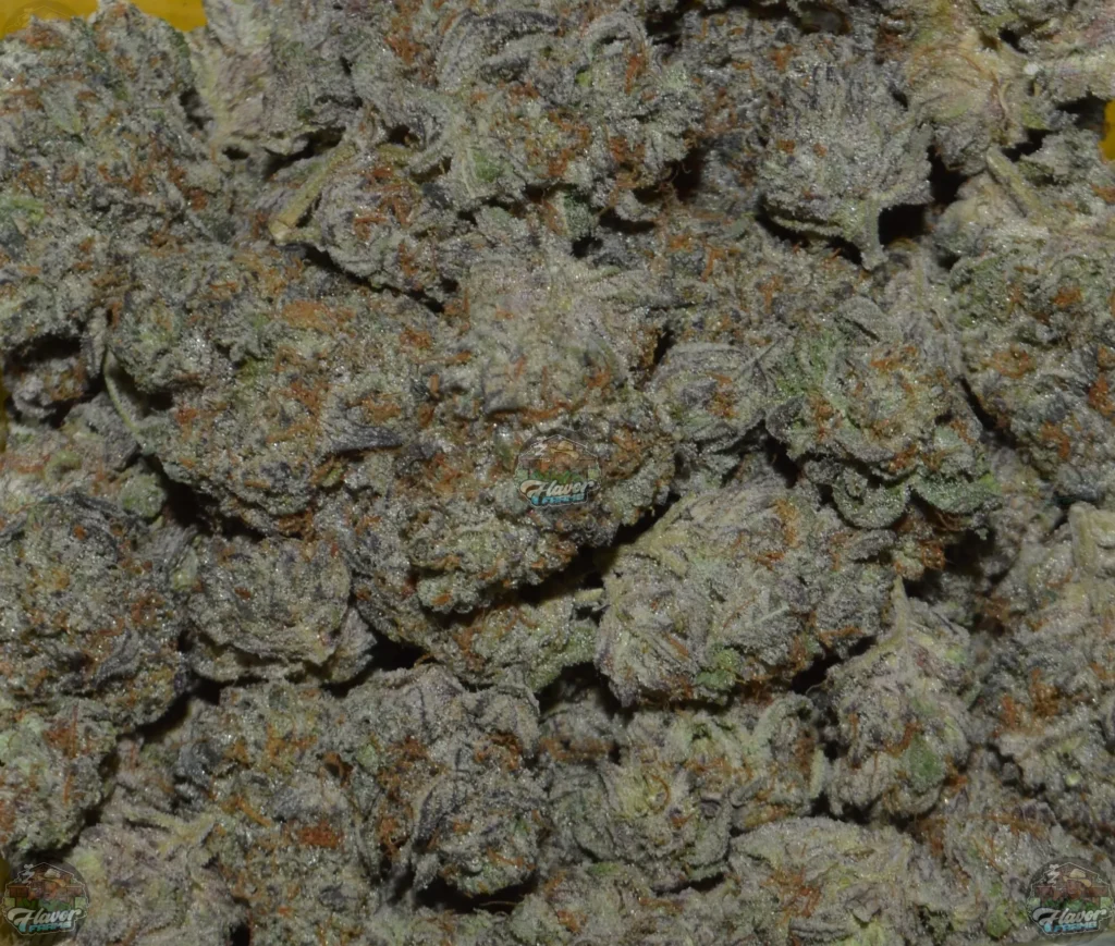 Creamery Cannabis
