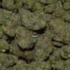 Gogurtz Cannabis