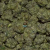 Melted Sherb cannabis