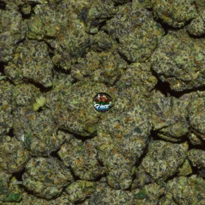 Melted Sherb cannabis