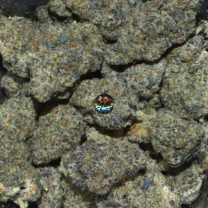 Notorious OG CANNABIS