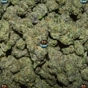 Black Cherry Gumbo CANNABIS