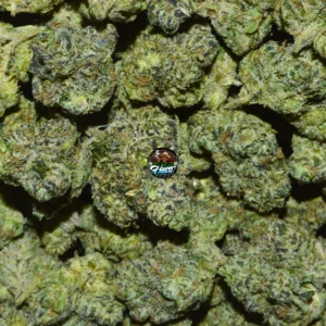 Black Mamba Cannabis