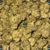 BLUEBERRY COFFIN CANNABIS